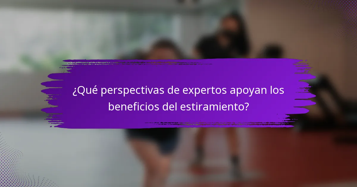 ¿Qué perspectivas de expertos apoyan los beneficios del estiramiento?